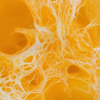 Jabón con Luffa (Naranja) – Vibrante