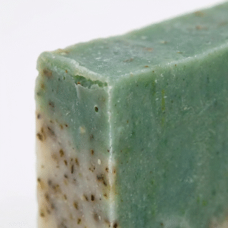 Jabón Aloe Vera y Tomillo – Infalible